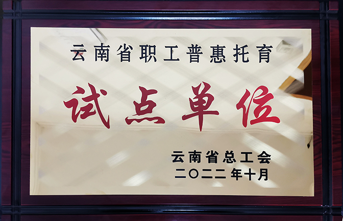 小圖”云南省職工普惠托育試點(diǎn)單位“榮譽(yù)獎牌.jpg