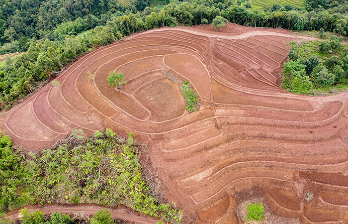 小圖董均遷：寧洱縣耕地占補平衡項目順利完工2.jpg